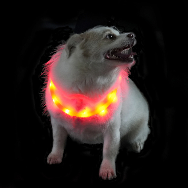 Pet Dog Night LED Neck Lace