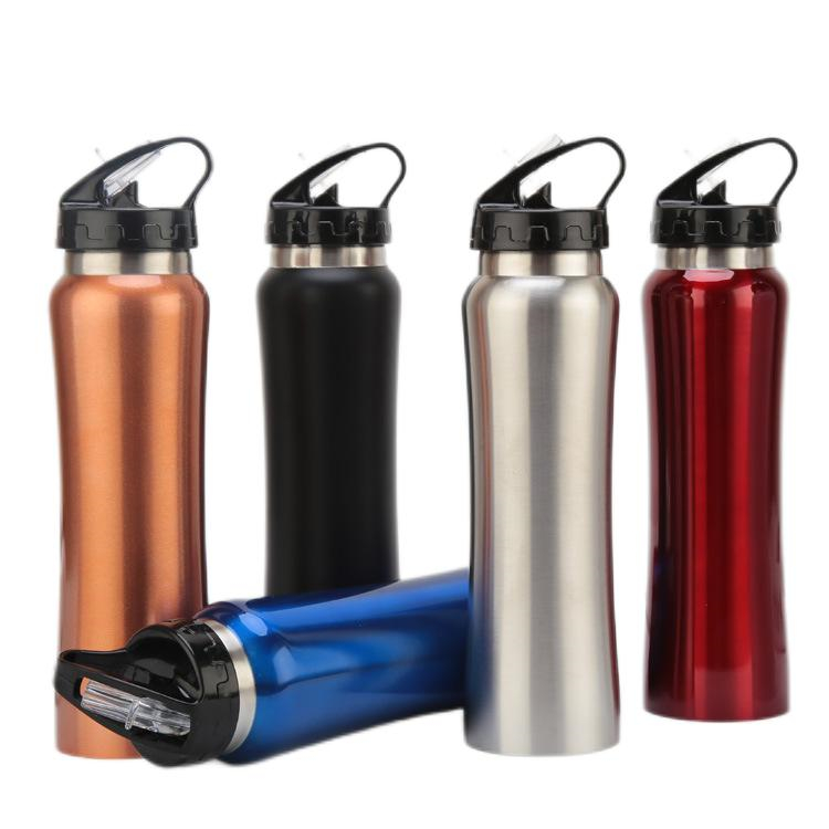 750ML Stainless Steel Flask Sports Bottle With Straw Handle Lid 500ml 750ml