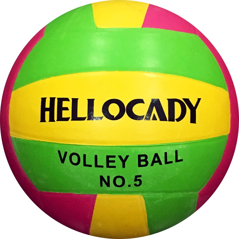  Custom Printed Gift Volleyball