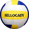  Custom Printed Gift Volleyball