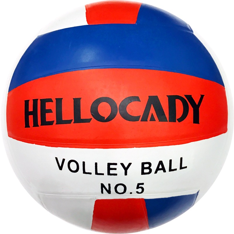  Custom Printed Gift Volleyball