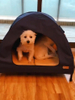 Waterproof Pet Cot House Foldable Dog Beds For Indoor Outdoor And Travel Use Pet Tent