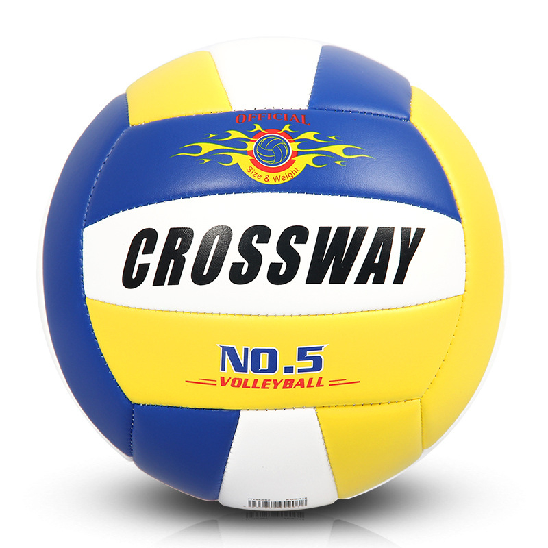  Custom Printed Gift Volleyball