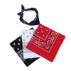 Bike Riding Cycling Gift Cheap Bandanas