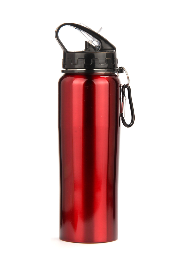 750ML Stainless Steel Flask Sports Bottle With Straw Handle Lid 500ml 750ml