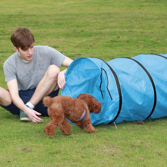 Pet Toys Outdoor Foldable Oxford Fabric Pet Tent Children Crawl Cat Tunnel Cat Tunnel Bed Cat Tunnel Toy