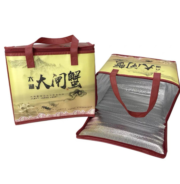 Custom Logo Promotional Reusable Thermal Insulation Bag Wholesale Small 6 Can Non Woven Insulated Lunch Cooler Bag For Food