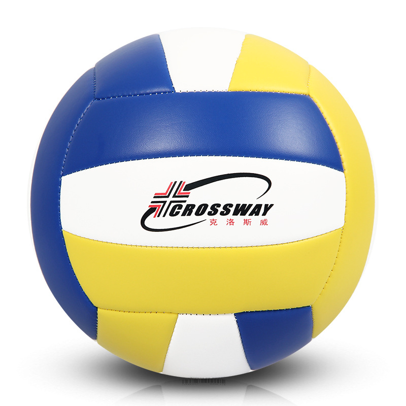  Custom Printed Gift Volleyball