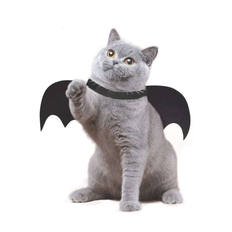 Halloween Pet Butterfly Wing Clothes Small Dog Cat Funny Black Bat Costume
