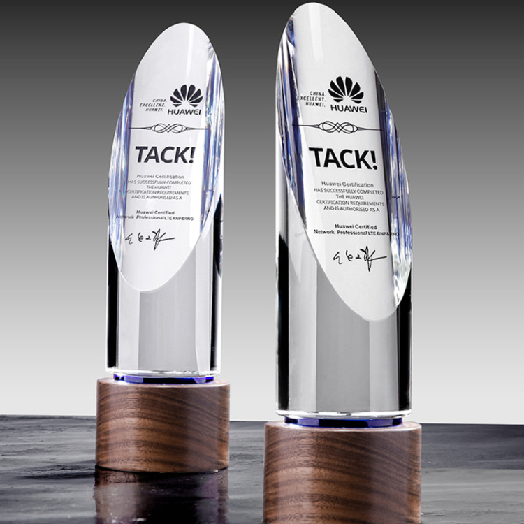 Corporate Gift Luxury K9 Crystal Madal Trophy