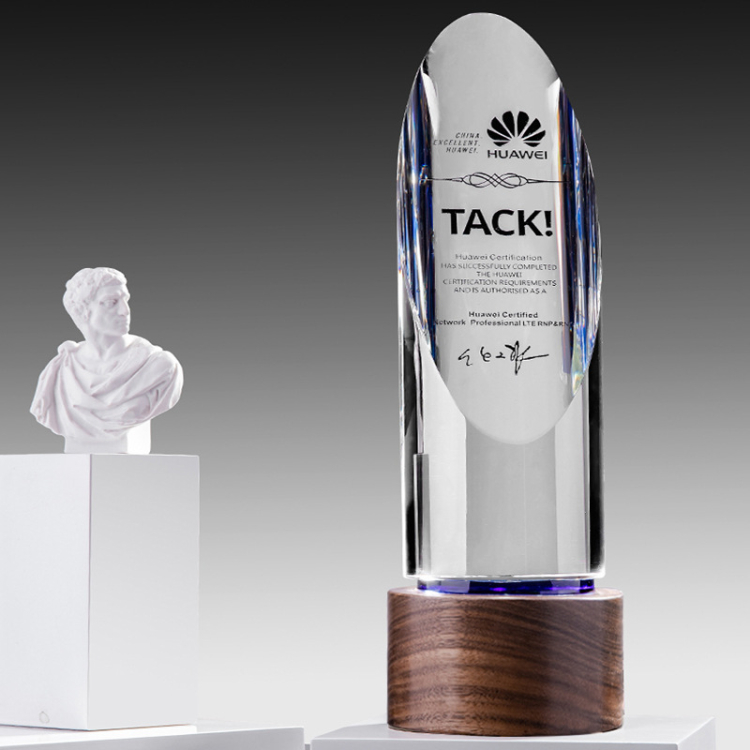 Corporate Gift Luxury K9 Crystal Madal Trophy