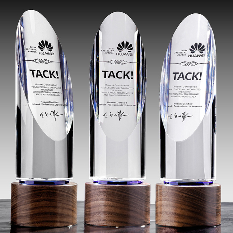 Corporate Gift Luxury K9 Crystal Madal Trophy