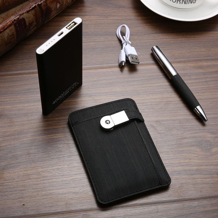 Leather Pen USB Disk Keychain Set